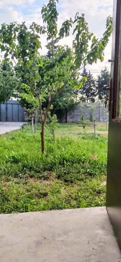 Guest House Near Baku Airport Zewnętrze zdjęcie