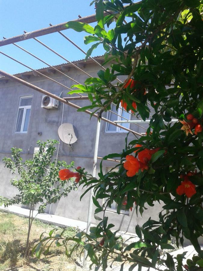 Guest House Near Baku Airport Zewnętrze zdjęcie